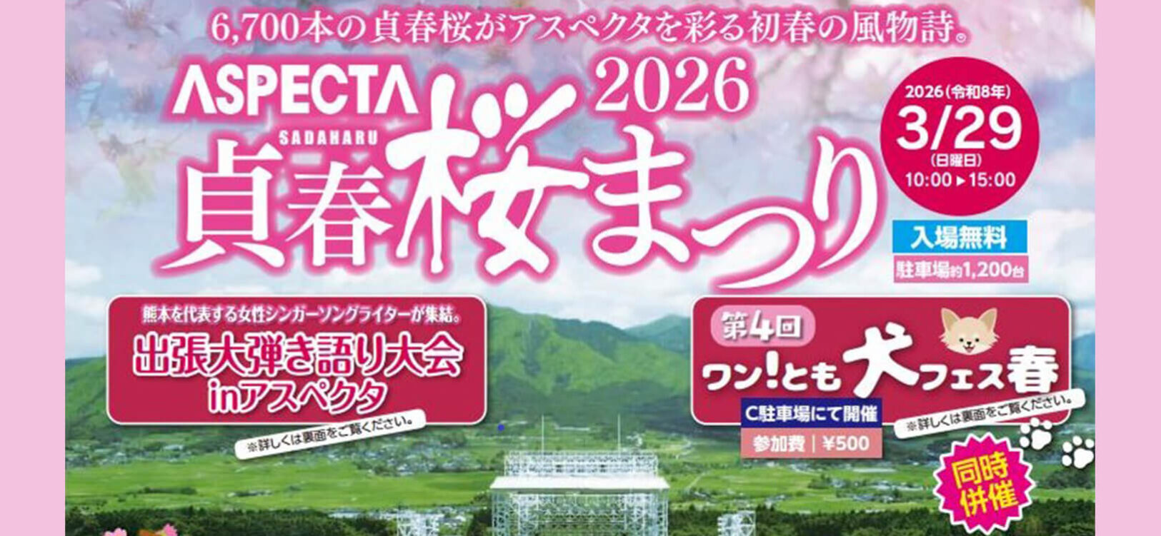 260216_sadaharu_sakura_top