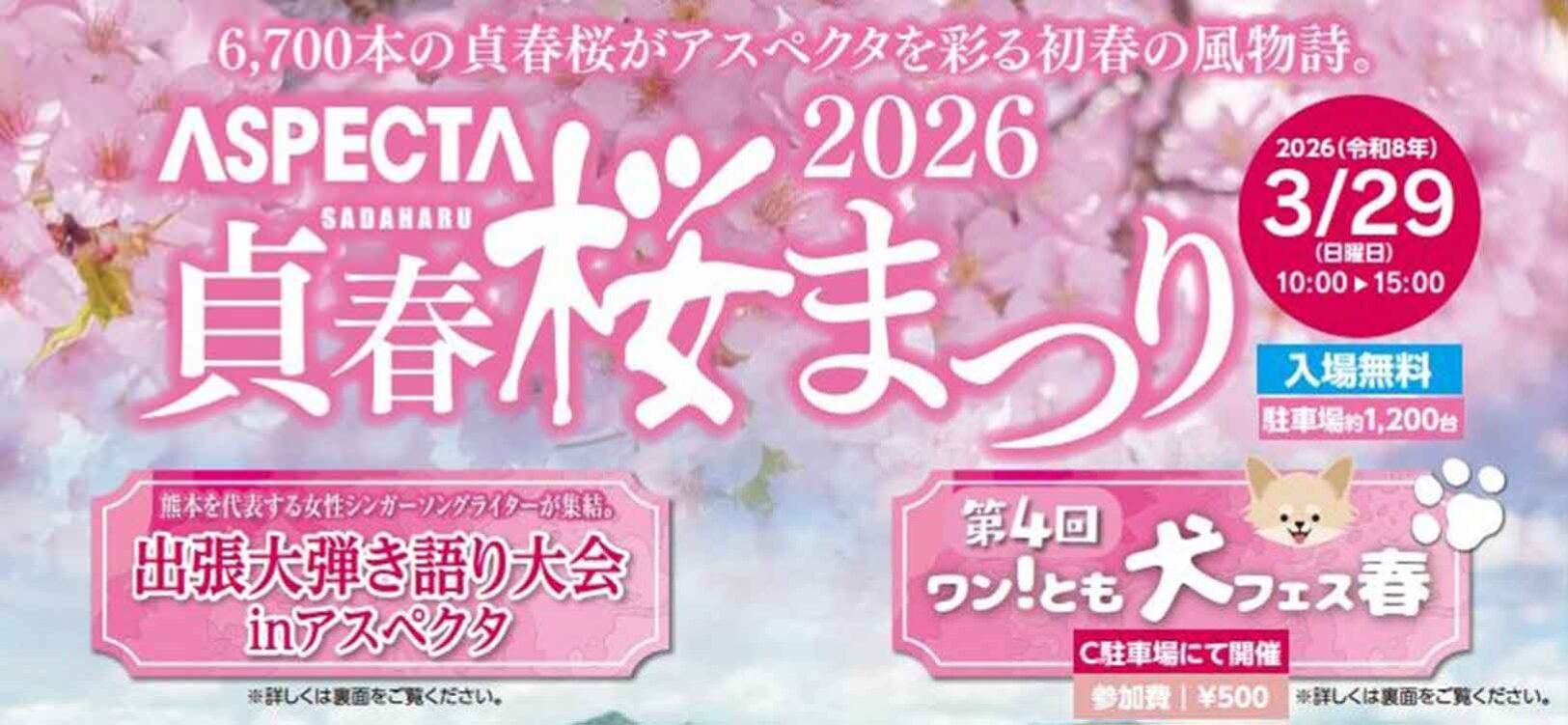 260329_sadaharu_sakura